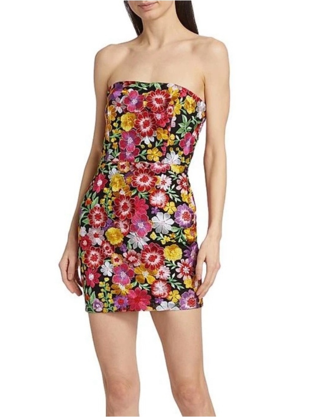 Ramy Brook Strapless Floral Embroidered Mini Dress - Black/Multi